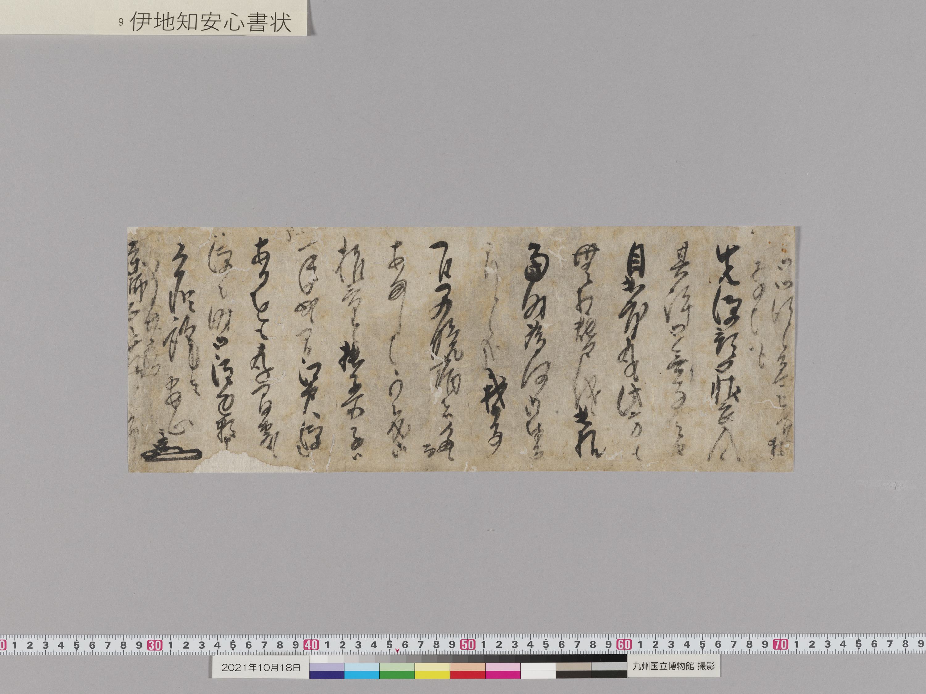 伊地知安心（重高）書状　1通