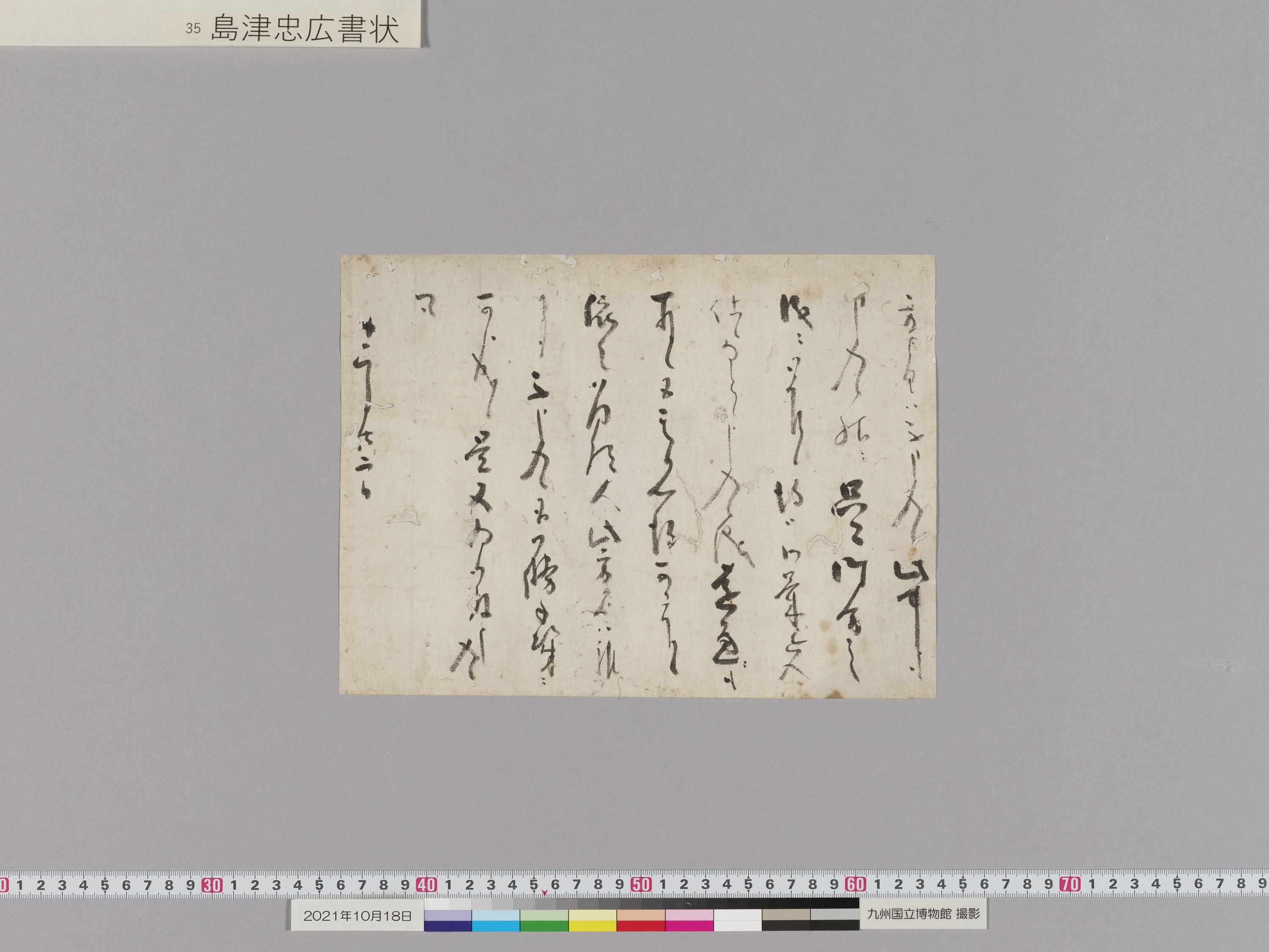 島津忠広書状　1通