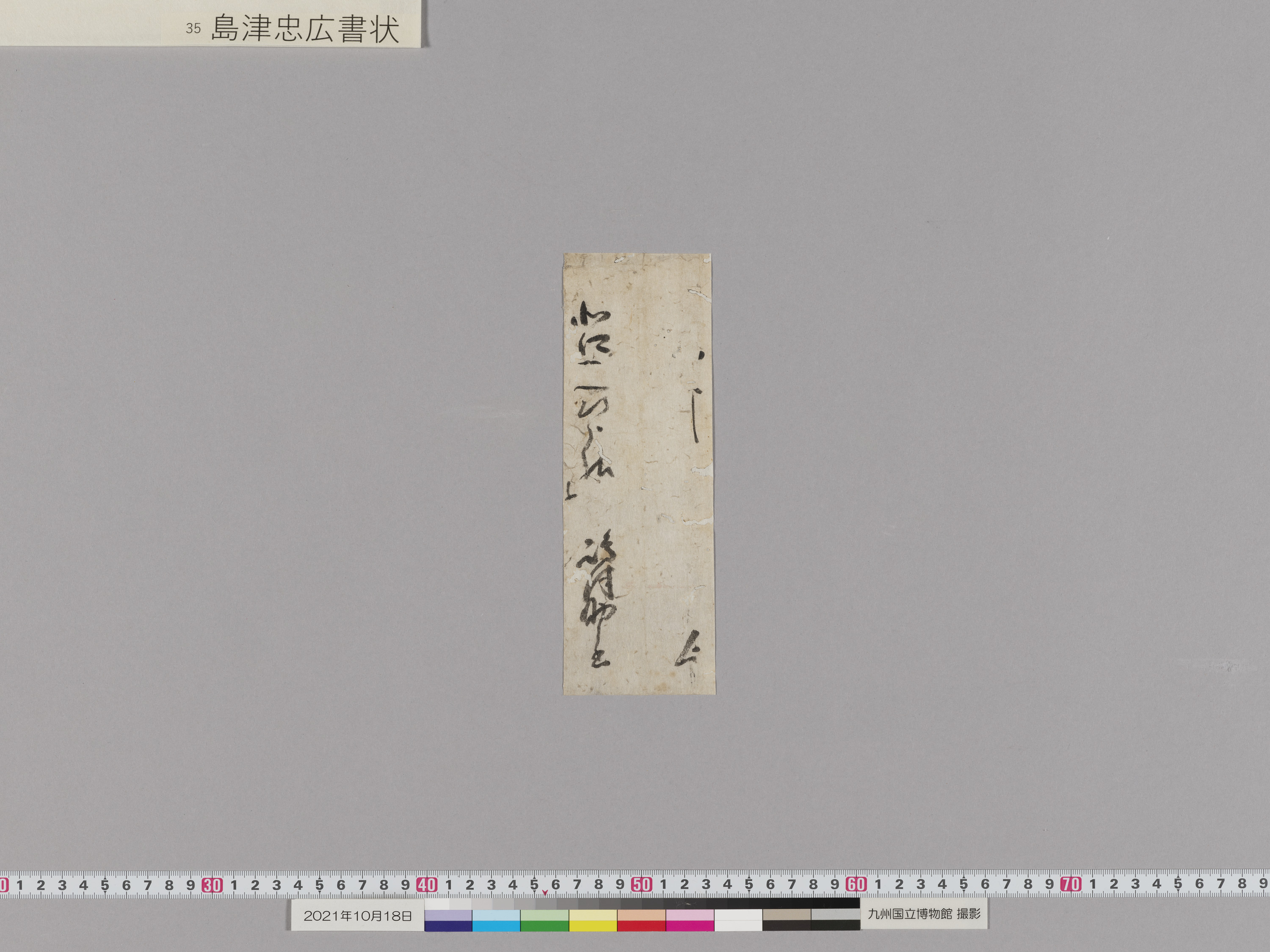 島津忠広書状　1通