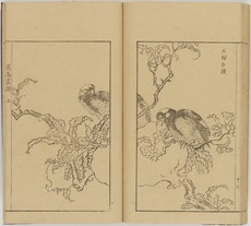 最新入荷 宋紫石『南画宋紫石花鳥画譜』（全3冊揃）松山堂書店刊 江戸