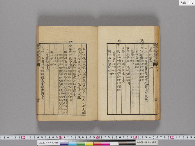 画像番号：108924　2022/10/25　附録-本紙17
