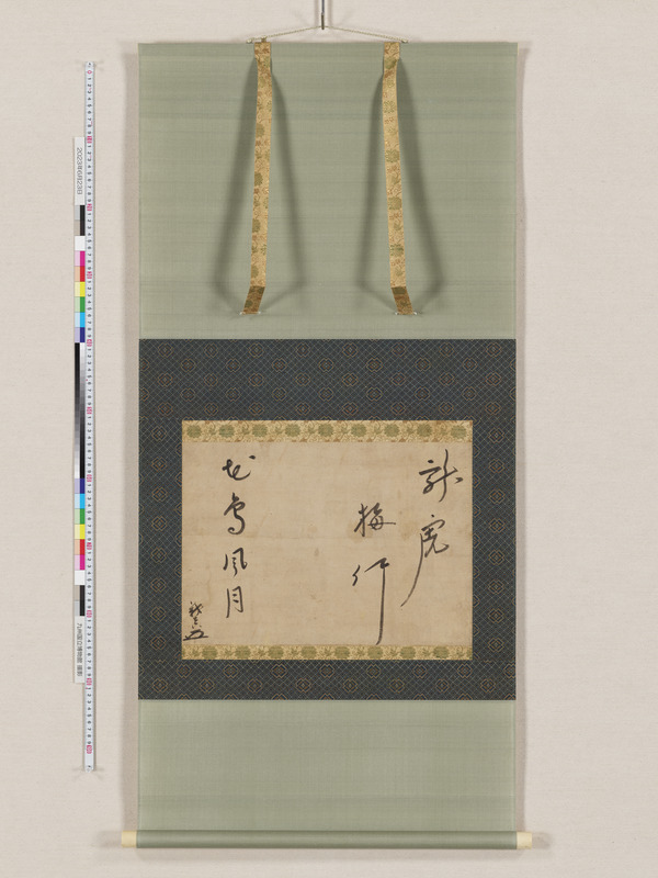 画像番号：112606　2023/06/23　全体