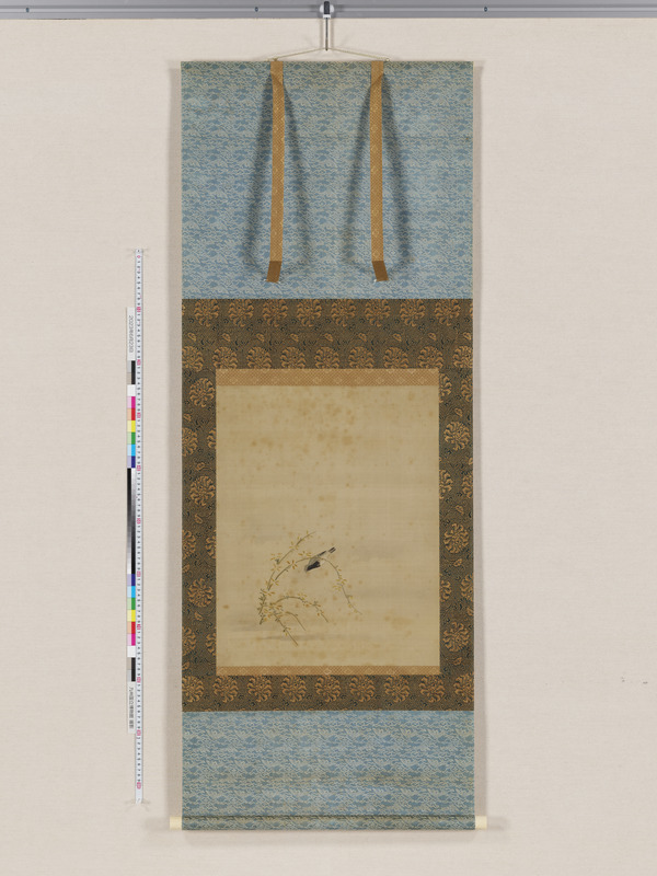 画像番号：112607　2023/06/23　全体