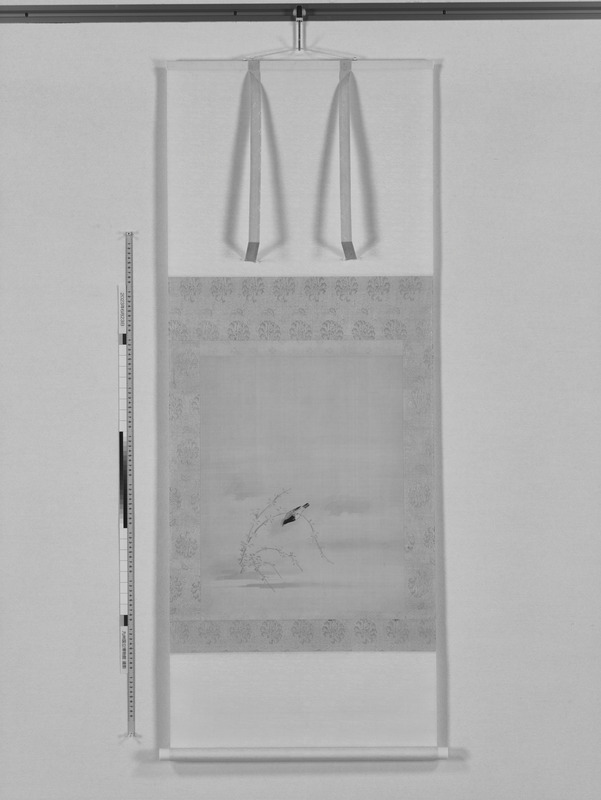 画像番号：112608　2023/06/23　全体-IR