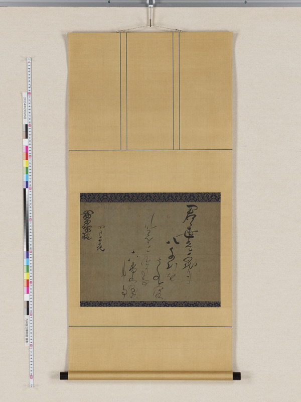 画像番号：114657　2024/02/26　全体