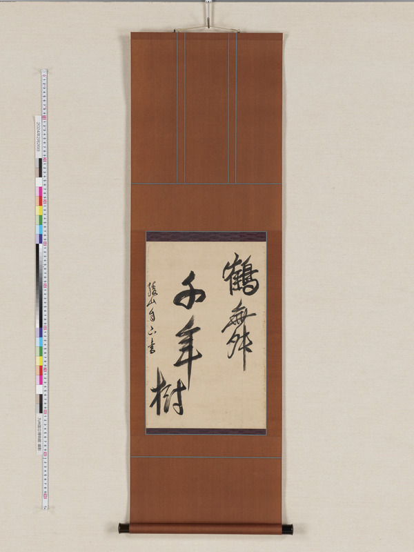 画像番号：114661　2024/02/26　全体