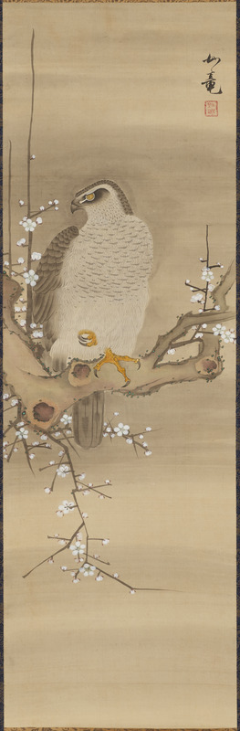 梅鷹図（対馬宗家文書）