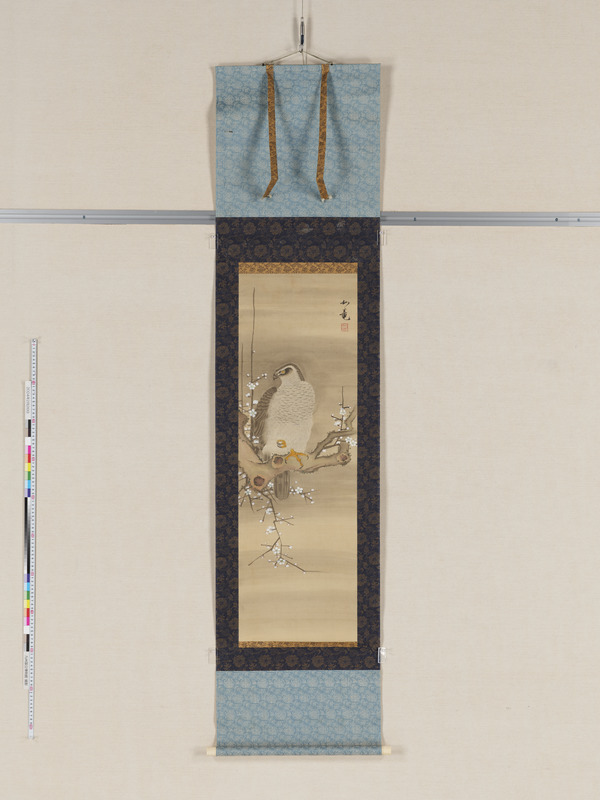 画像番号：114665　2024/02/26　全体