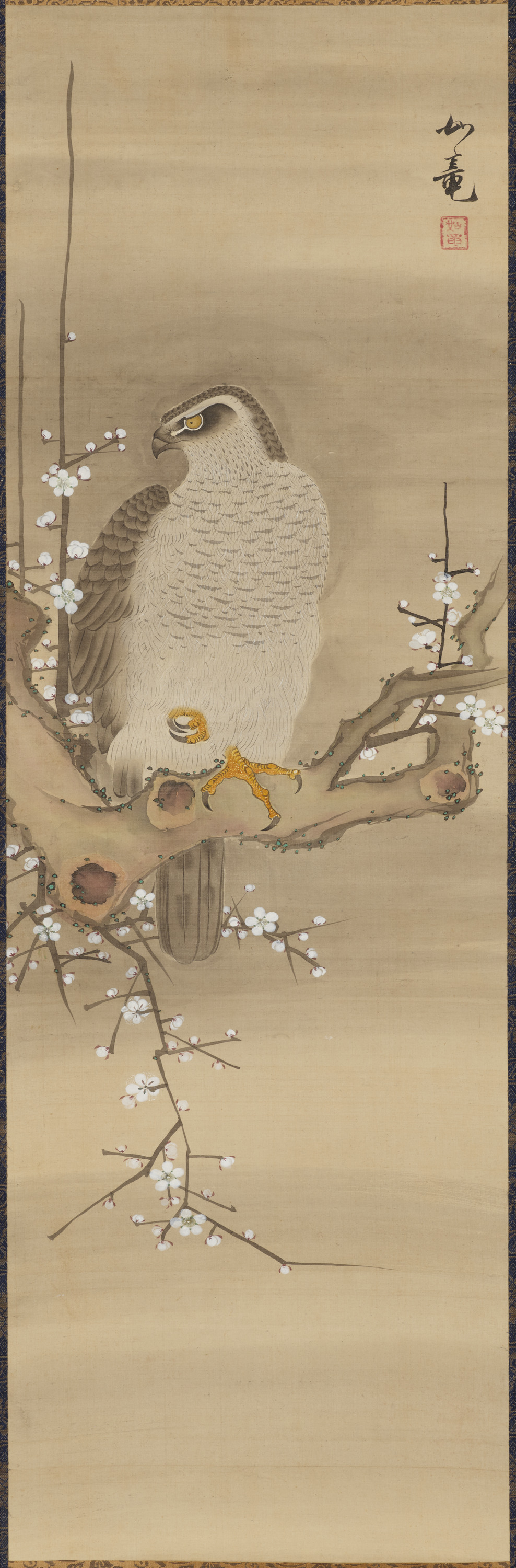 重要文化財　梅鷹図（対馬宗家文書）　1幅