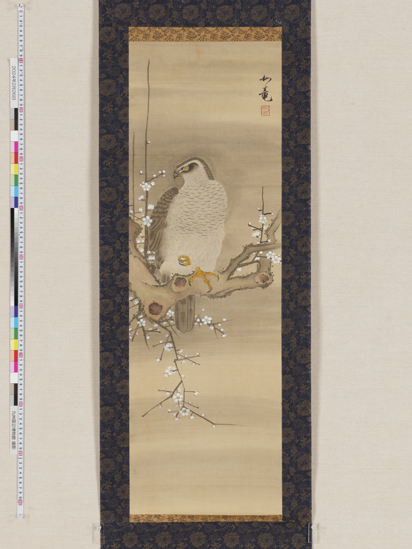 画像番号：114666　2024/02/26　本紙