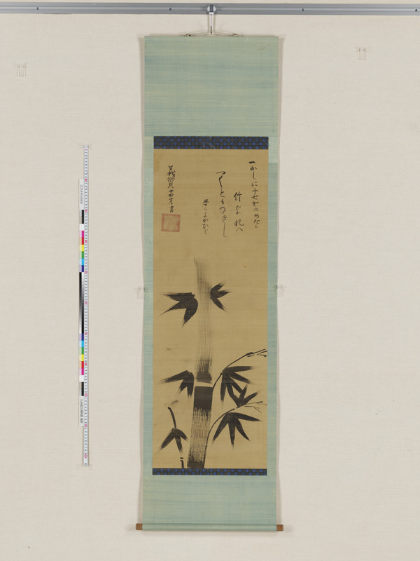 画像番号：115041　2024/04/08　全図