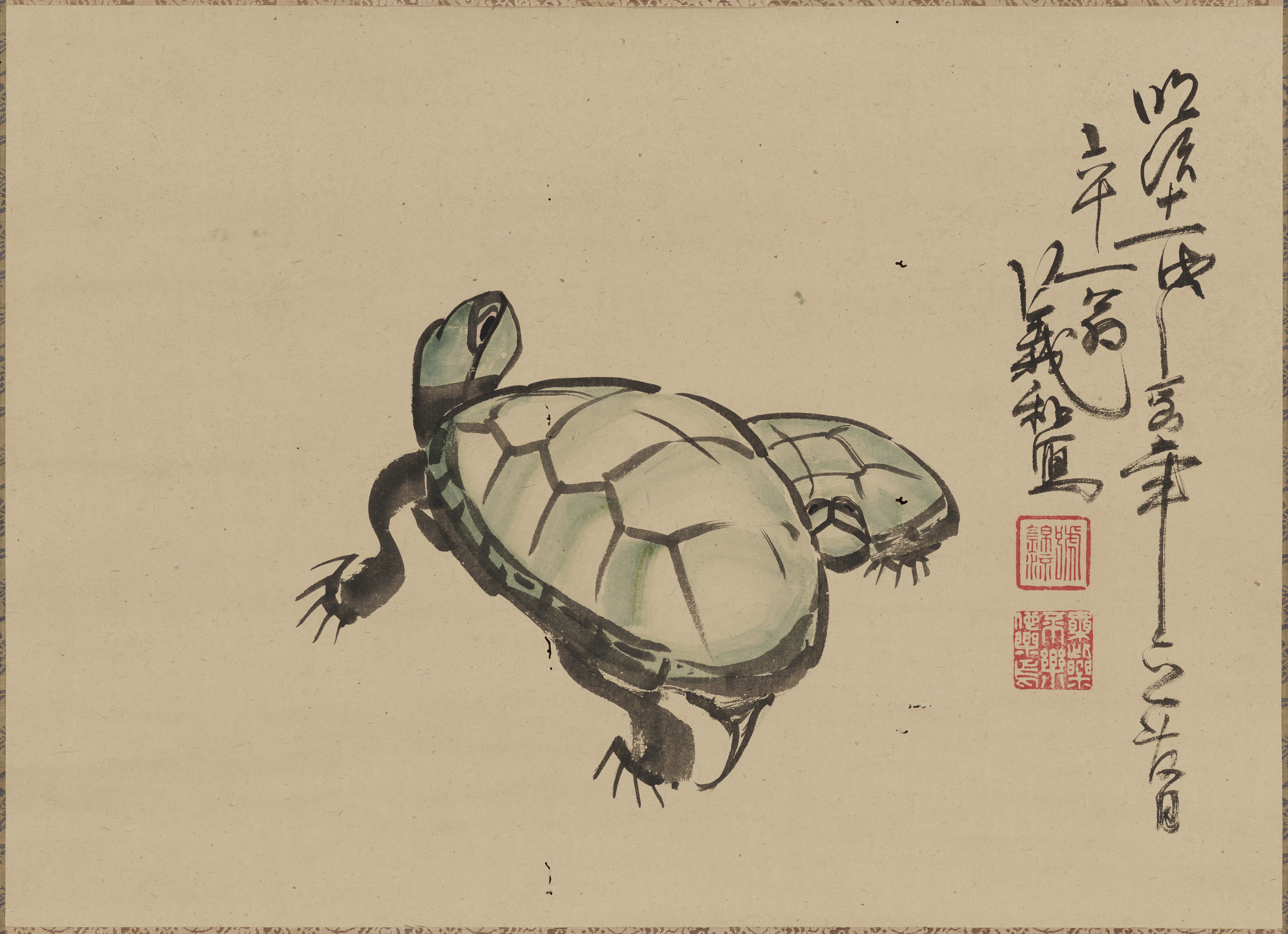 義和公写亀図（対馬宗家文書）　1幅