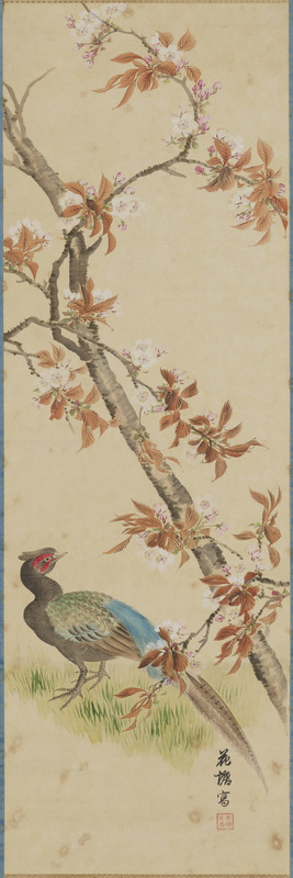 桜花雉子図（対馬宗家文書）