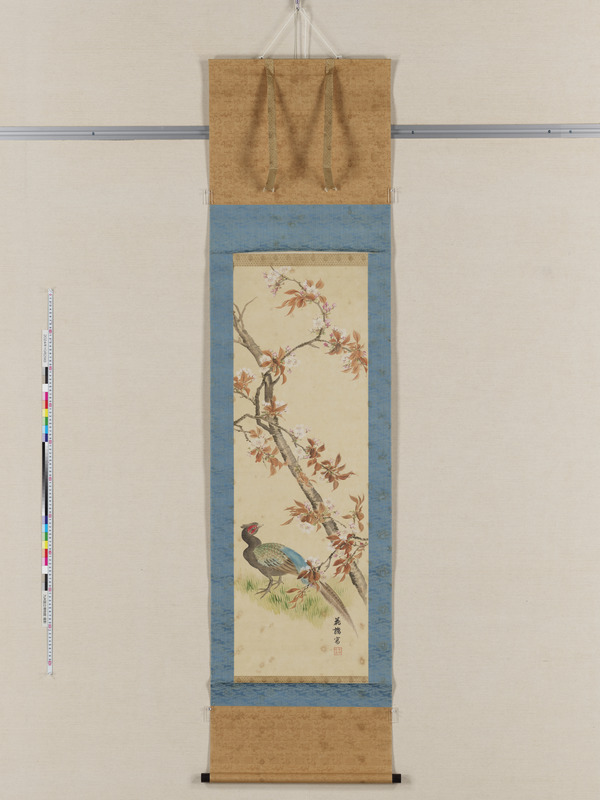 画像番号：117166　2024/10/29　全体