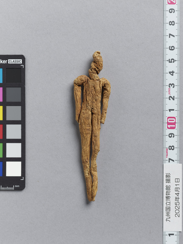 画像番号：118198　2025/04/01　表