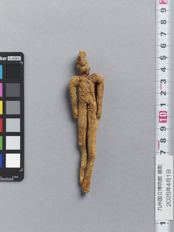 画像番号：118199　2025/04/01　裏