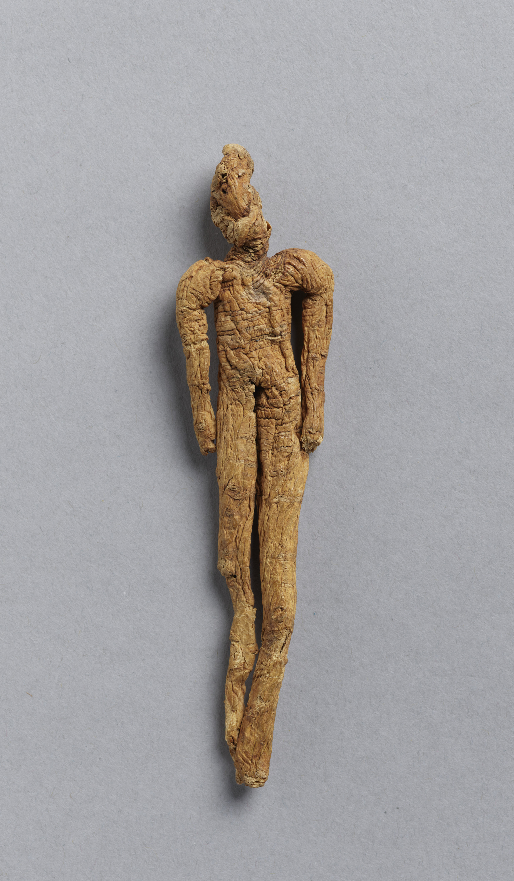 重要文化財　人形人参（対馬宗家文書）　1点