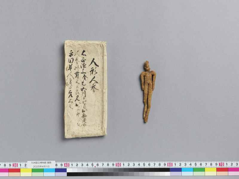 画像番号：118201　2025/04/01　付属資料込み-裏