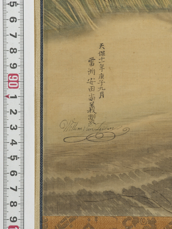 画像番号：118305　2025/04/24　部分
