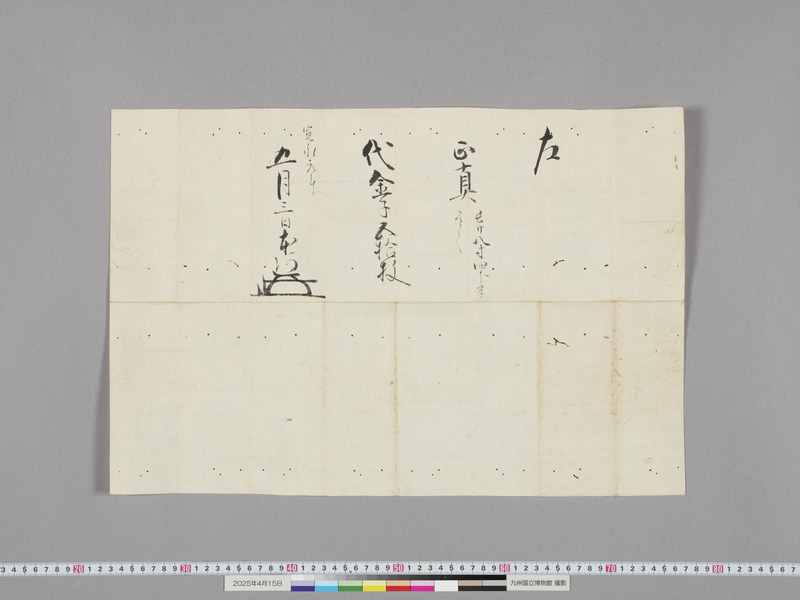 画像番号：118321　2025/04/15　付属資料1-折紙-表