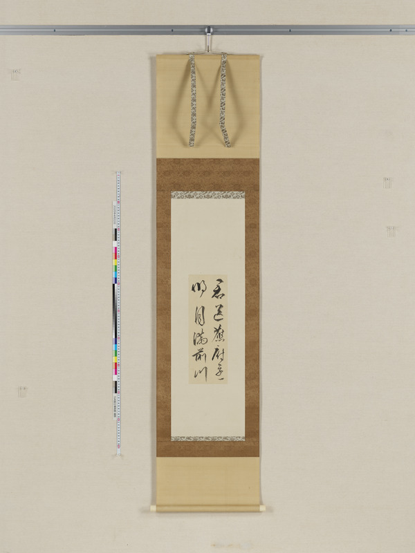 画像番号：118468　2025/04/22　全体