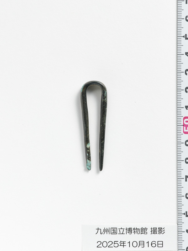 画像番号：119094　2025/10/16　簪1