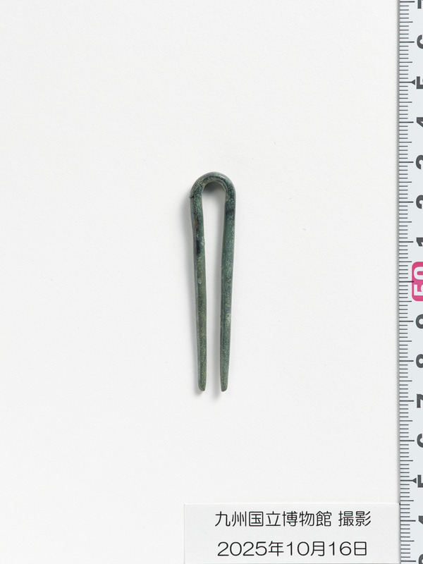 画像番号：119095　2025/10/16　簪2