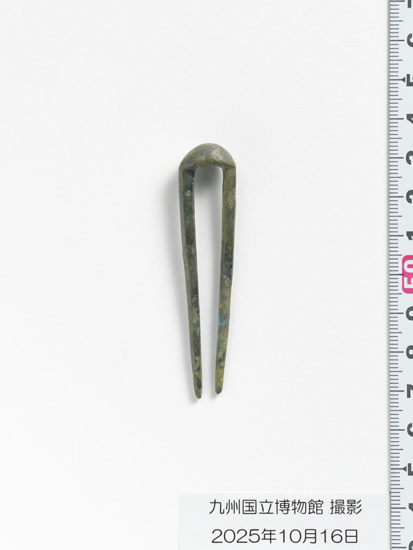 画像番号：119096　2025/10/16　簪3