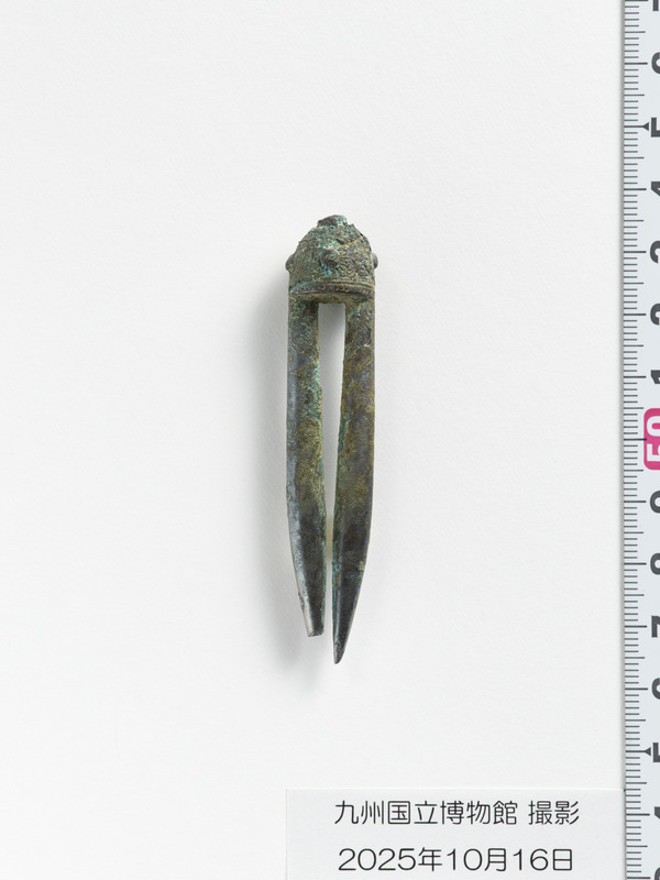 画像番号：119097　2025/10/16　簪4-1