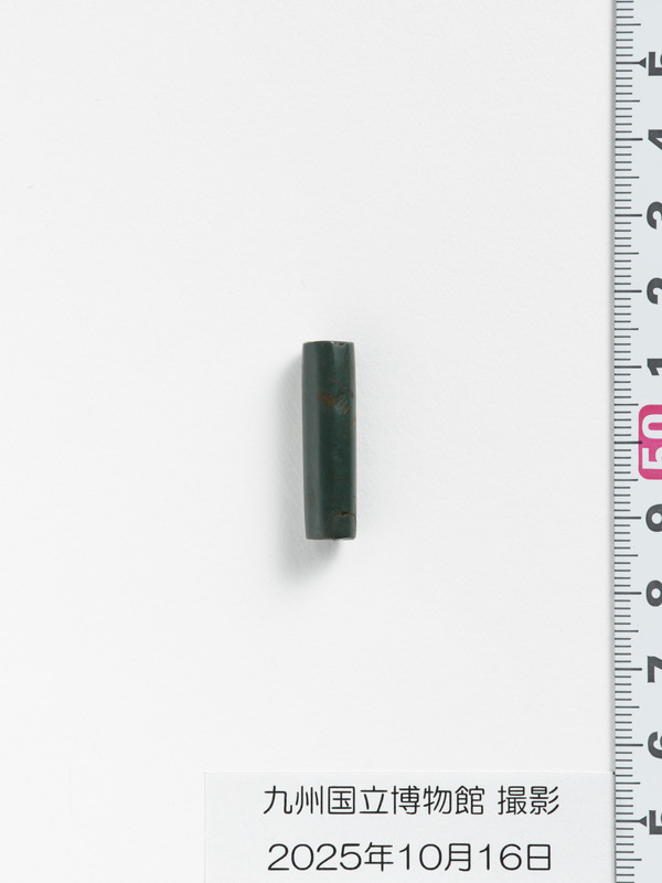 画像番号：119100　2025/10/16　側面