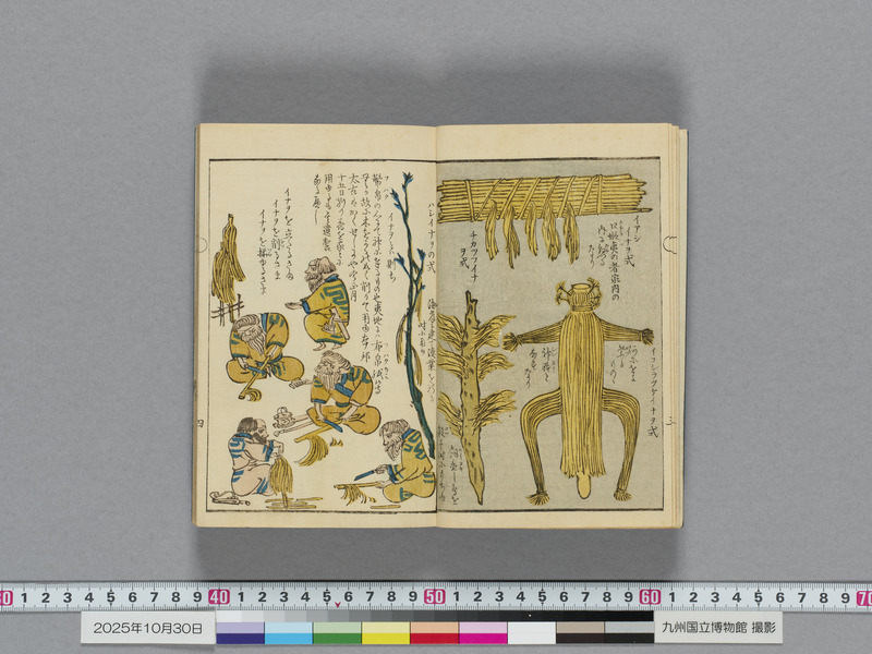 画像番号：119106　2025/10/30　本紙05