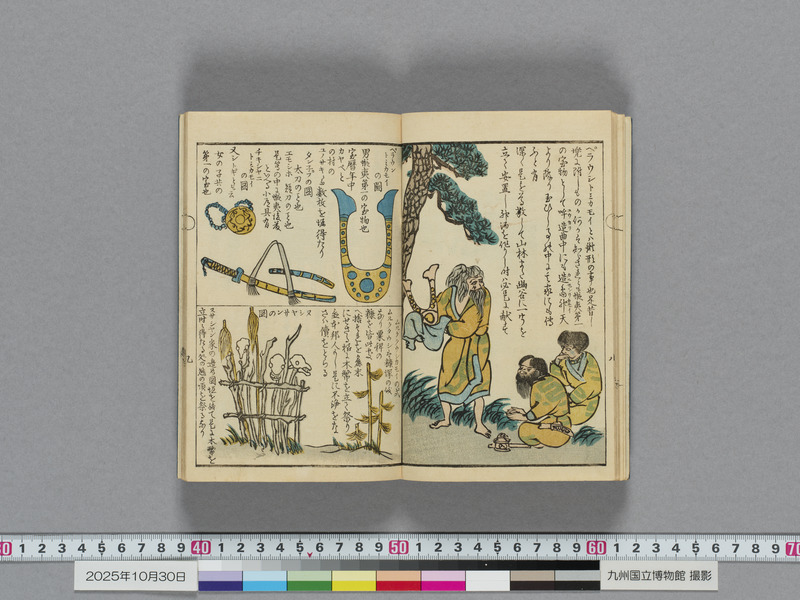 画像番号：119111　2025/10/30　本紙10