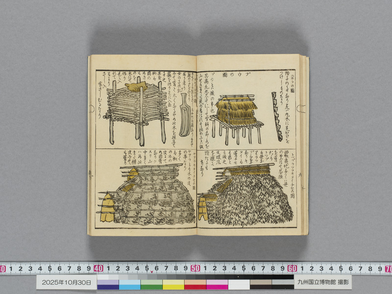画像番号：119112　2025/10/30　本紙11