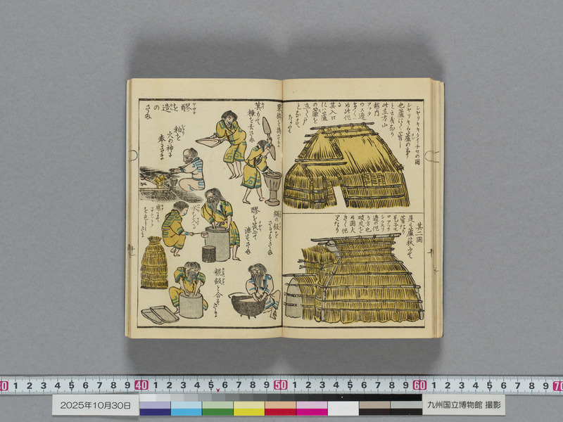 画像番号：119113　2025/10/30　本紙12