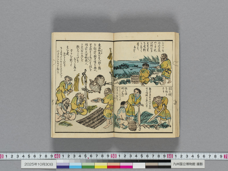 画像番号：119119　2025/10/30　本紙18