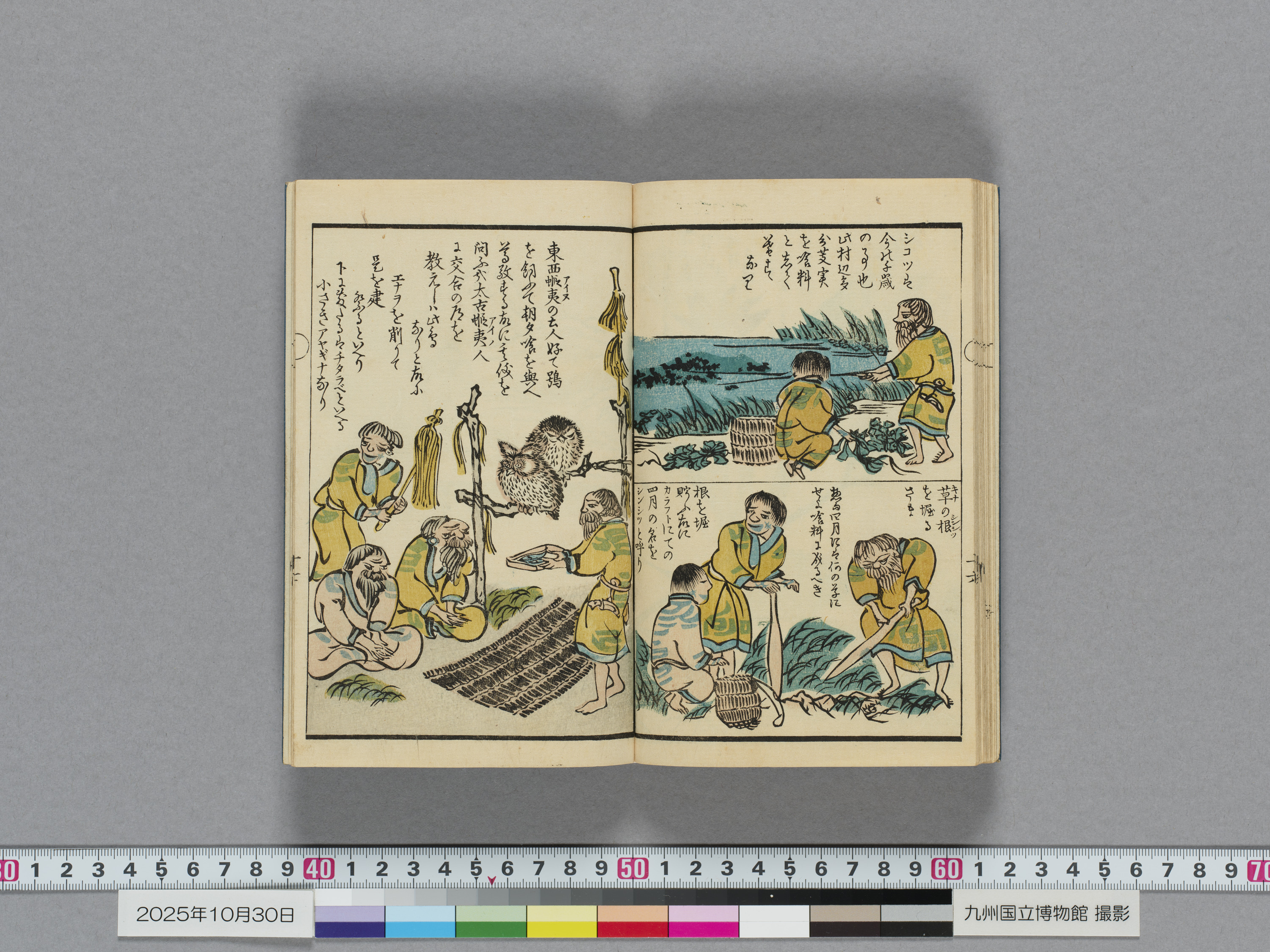 蝦夷漫画　1冊