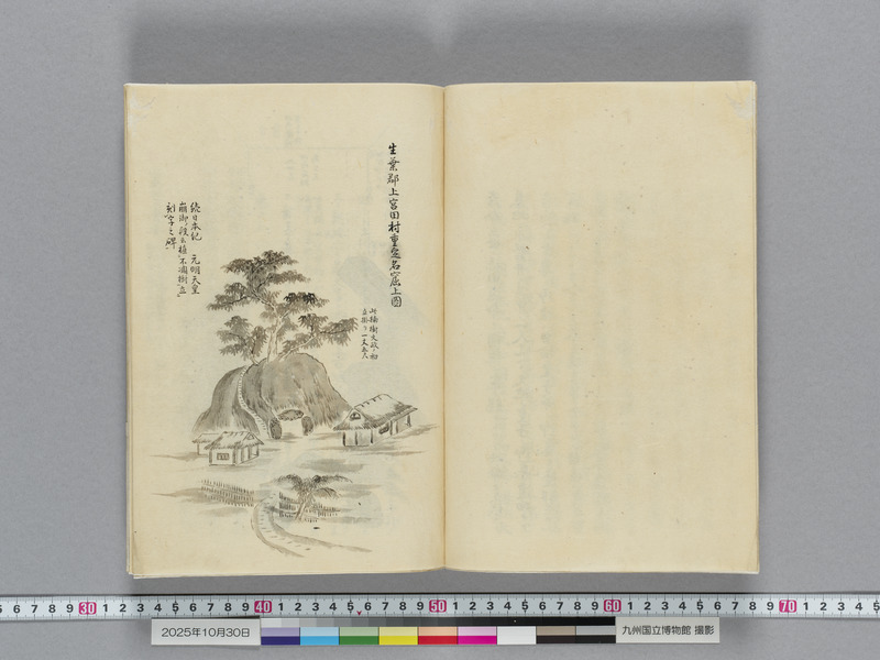 画像番号：119128　2025/10/30　本紙03