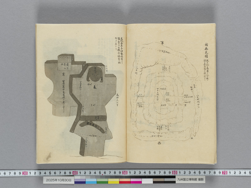 画像番号：119131　2025/10/30　本紙06