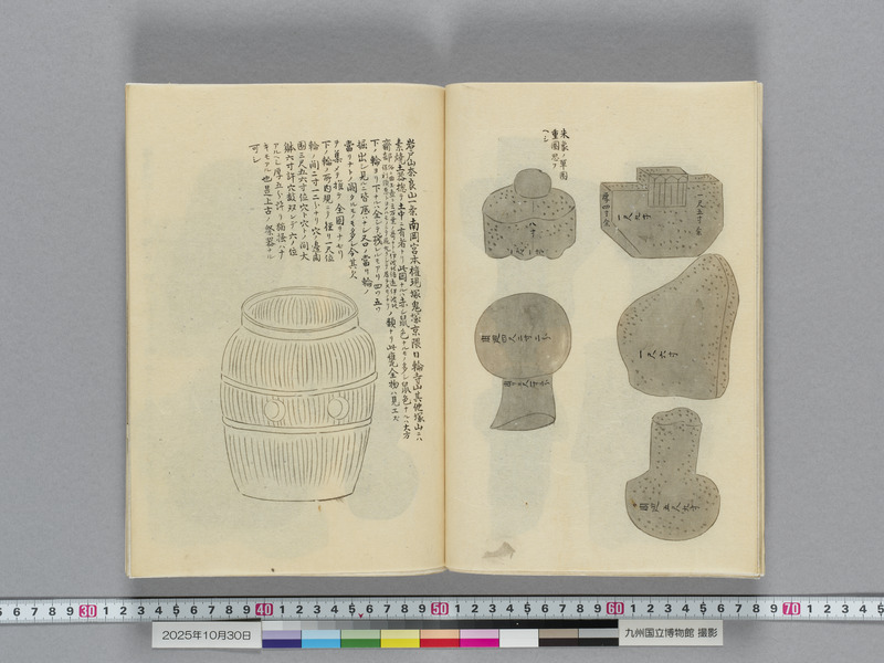画像番号：119136　2025/10/30　本紙11