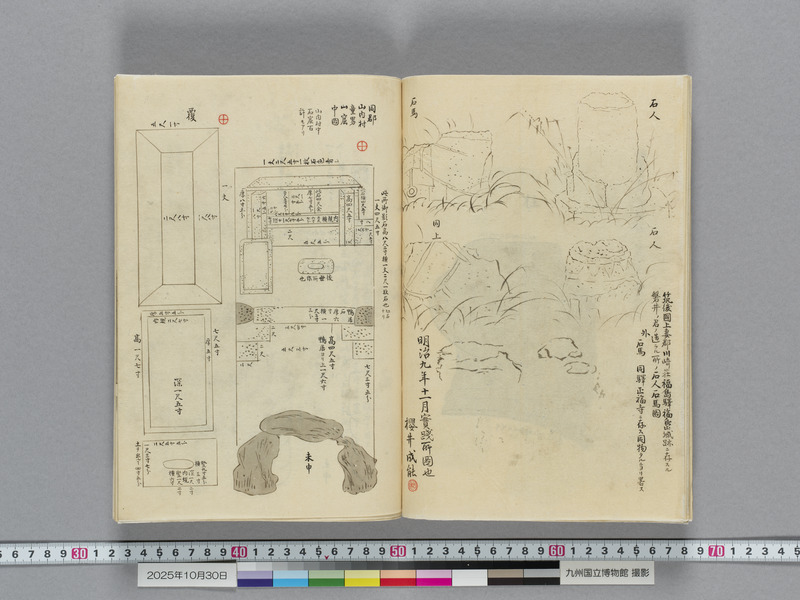 画像番号：119139　2025/10/30　本紙14