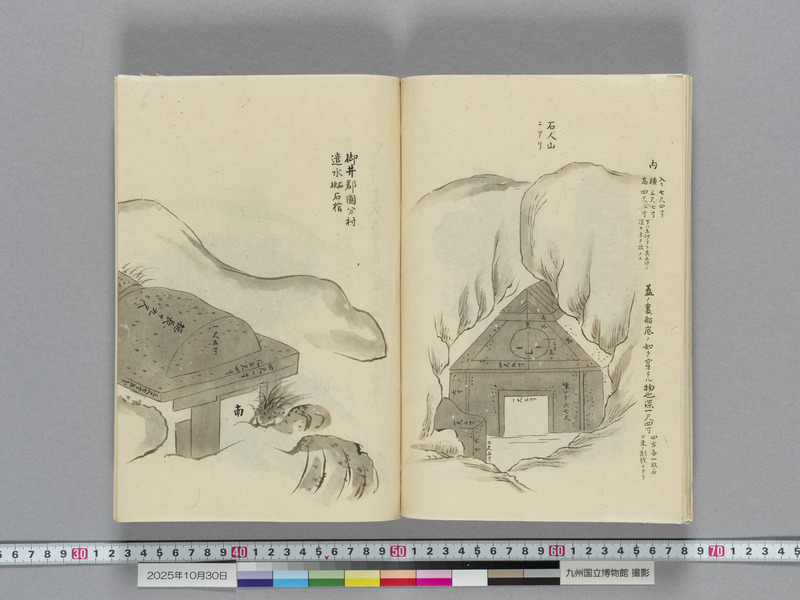 画像番号：119142　2025/10/30　本紙17