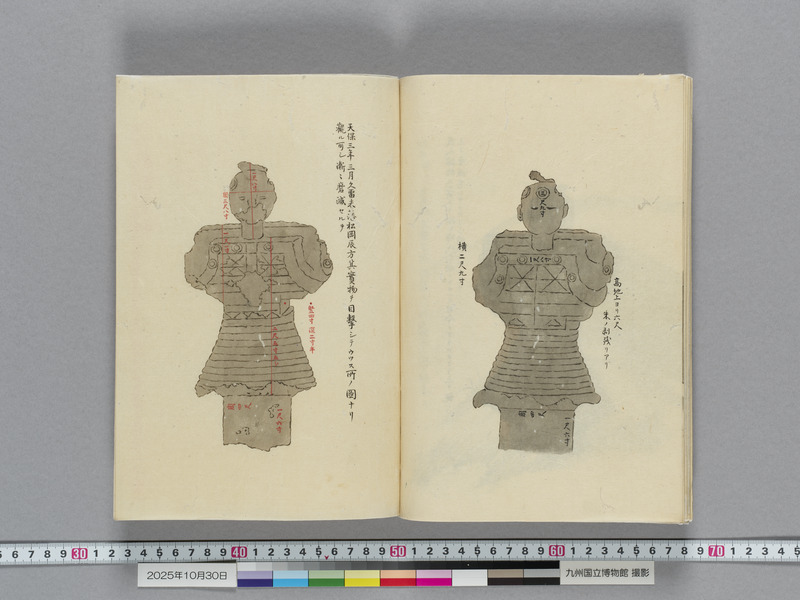 画像番号：119144　2025/10/30　本紙19