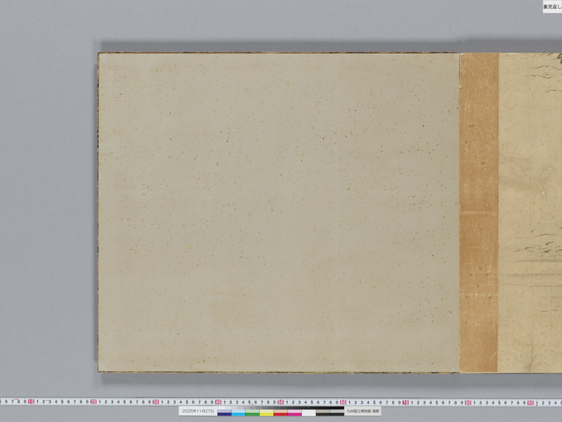 画像番号：119337　2025/11/27　裏見返し