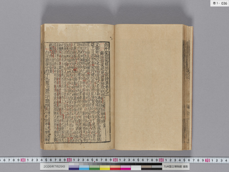 画像番号：124319　2026/07/29　巻1-本紙36