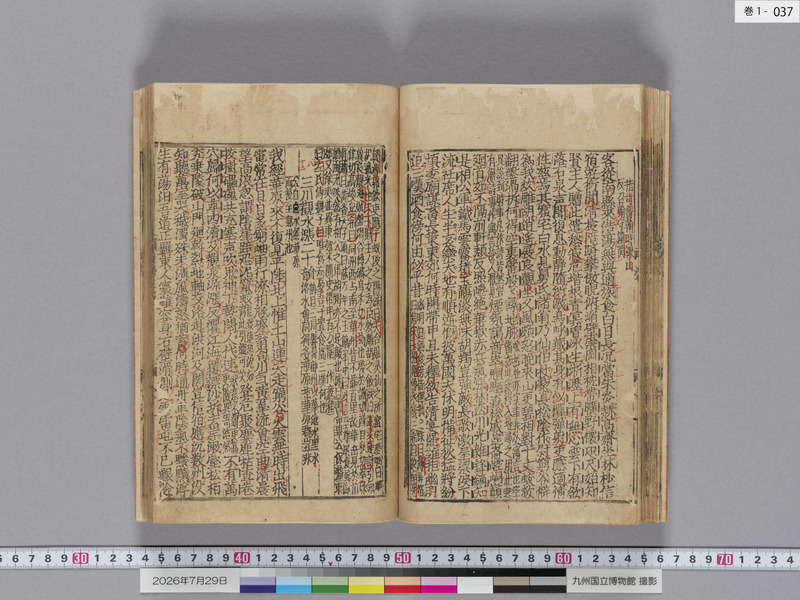 画像番号：124320　2026/07/29　巻1-本紙37