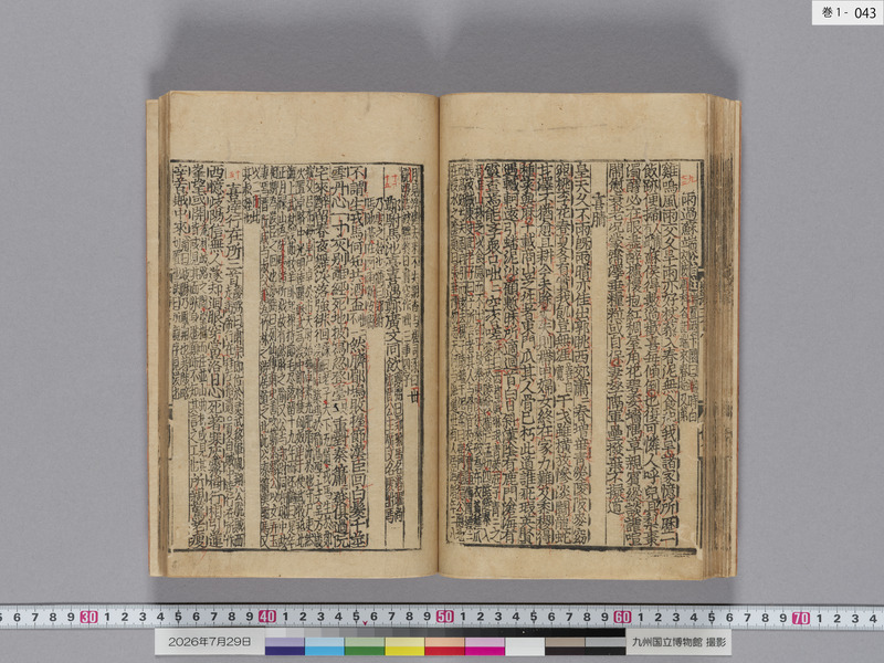 画像番号：124326　2026/07/29　巻1-本紙43