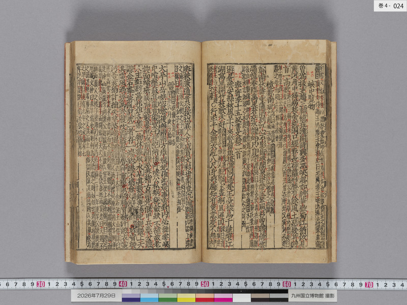 画像番号：124520　2026/07/29　巻4-本紙24