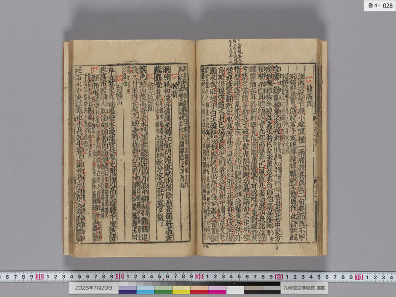 画像番号：124524　2026/07/29　巻4-本紙28