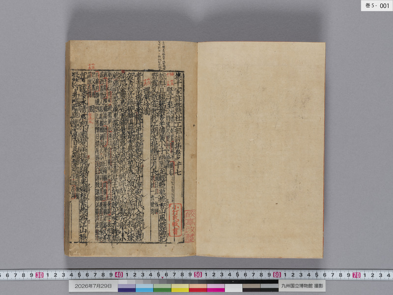 画像番号：124561　2026/07/29　巻5-本紙01