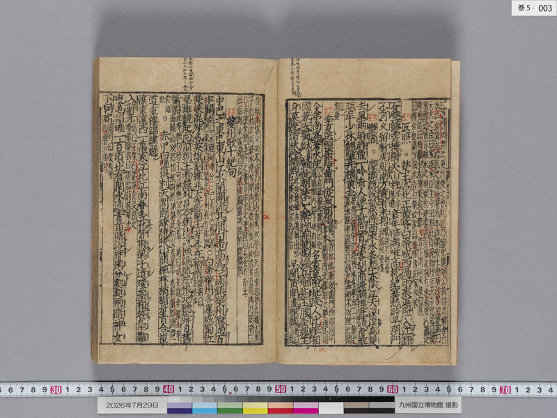 画像番号：124563　2026/07/29　巻5-本紙03